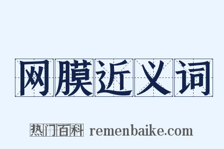 网膜近义词是什么意思的图片